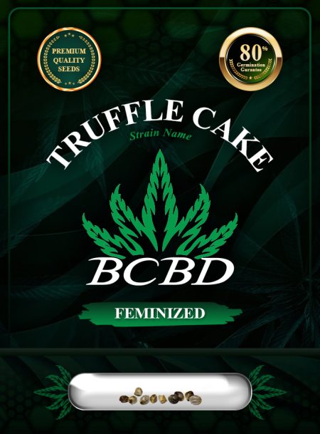 Truffle Cake Strain Feminized