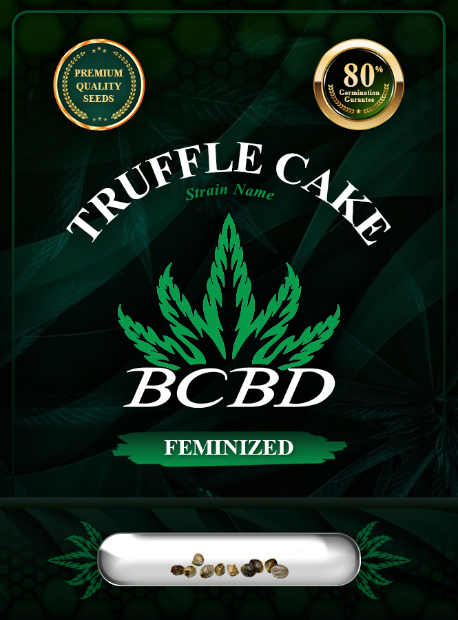 Truffle Cake Strain Feminized Marijuana Seeds