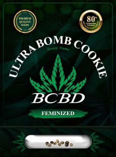 Ultra Bomb Cookie Strain Feminized