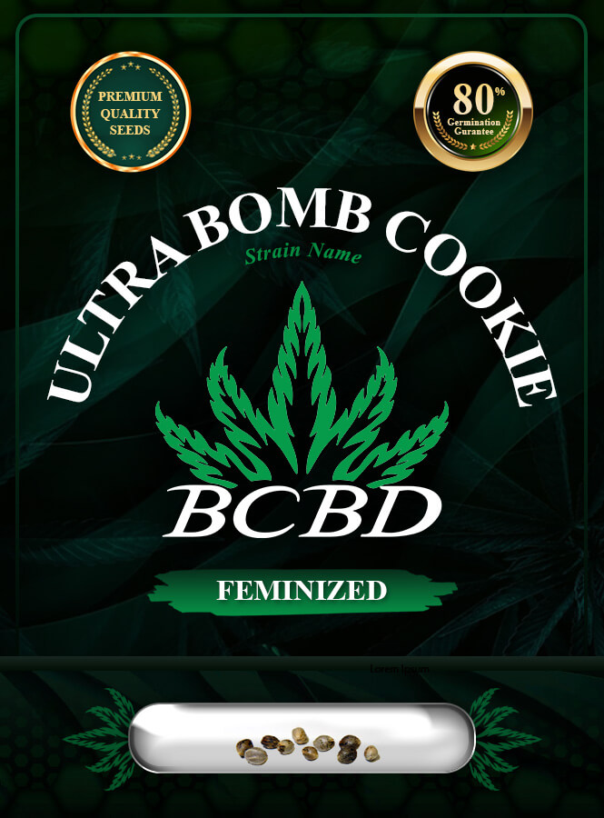 Ultra Bomb Cookie Strain Feminized Marijuana Seeds