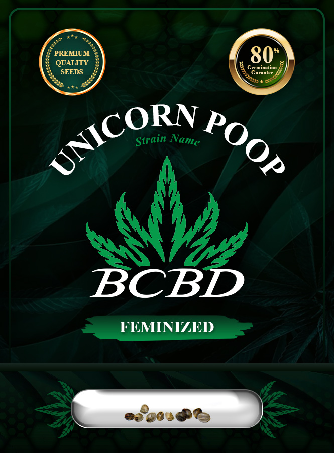 Unicorn Poop Strain Feminized Marijuana Seeds