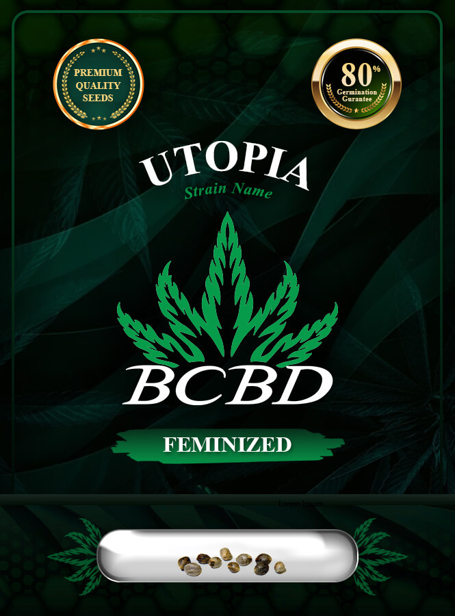Utopia Strain Feminized Marijuana Seeds