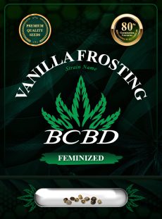 Vanilla Frosting Strain Feminized