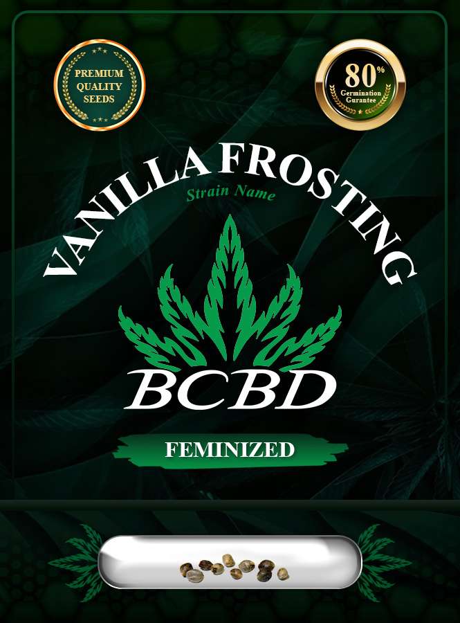 Vanilla Frosting Strain Feminized Marijuana Seeds
