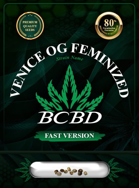 Venice OG Strain Feminized Fast Version