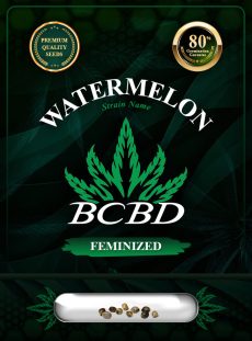 Watermelon Strain Feminized
