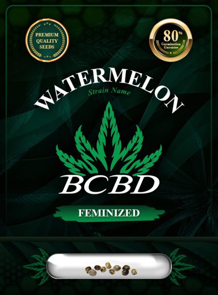 Watermelon Strain Feminized