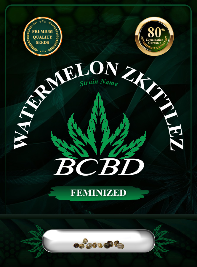 Watermelon Zkittlez Strain Feminized Marijuana Seeds
