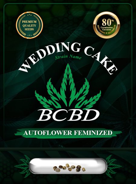 Wedding Cake Strain Autoflowering