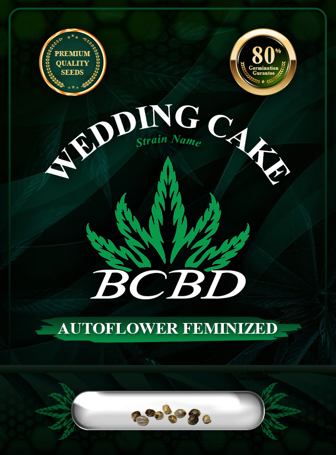 Wedding Cake Strain Autoflowering Marijuana Seeds