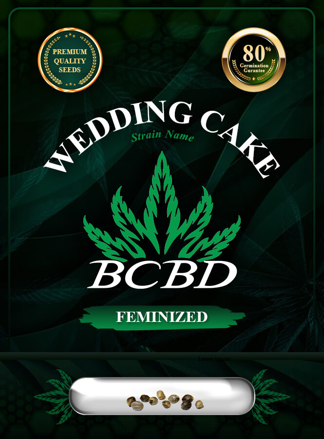 Wedding Cake Strain Feminized Marijuana Seeds