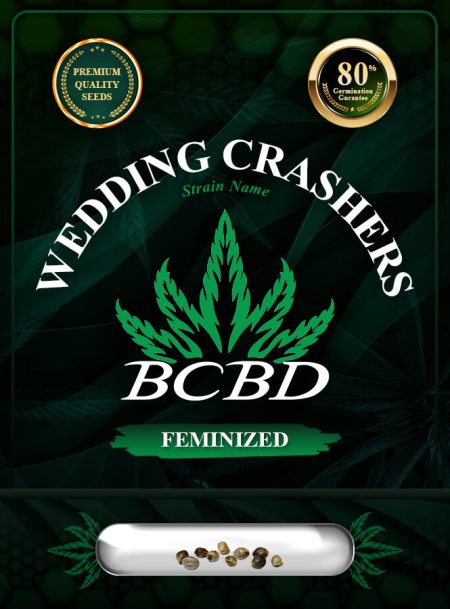 Wedding Crasher Strain Feminized