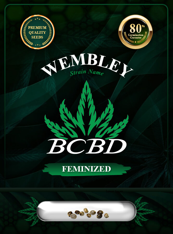 Wembley Strain Feminized Marijuana Seeds
