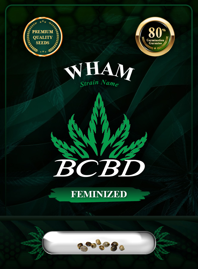 Wham Strain Feminized Marijuana Seeds