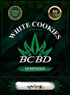 White Cookies Strain Feminized