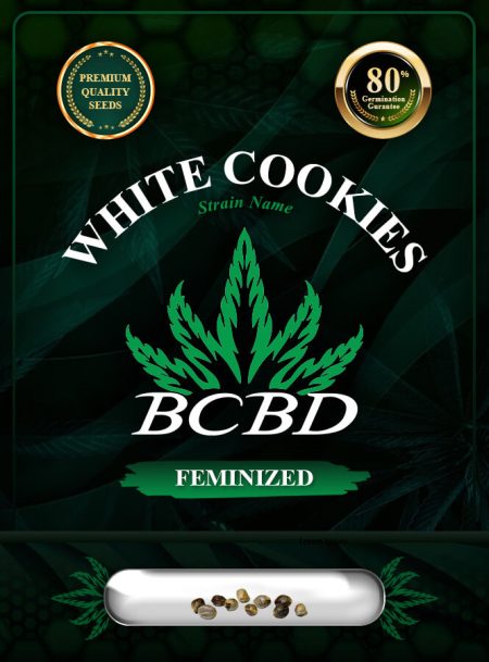 White Cookies Strain Feminized