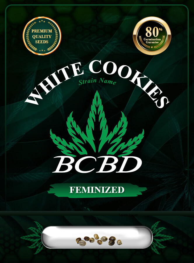 White Cookies Strain Feminized Marijuana Seeds