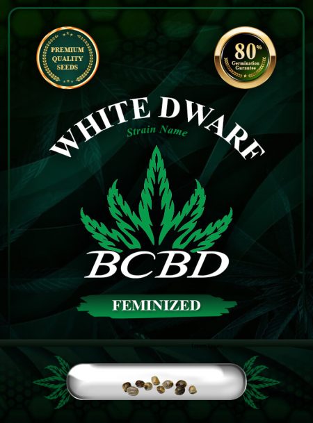White Dwarf Strain Feminized