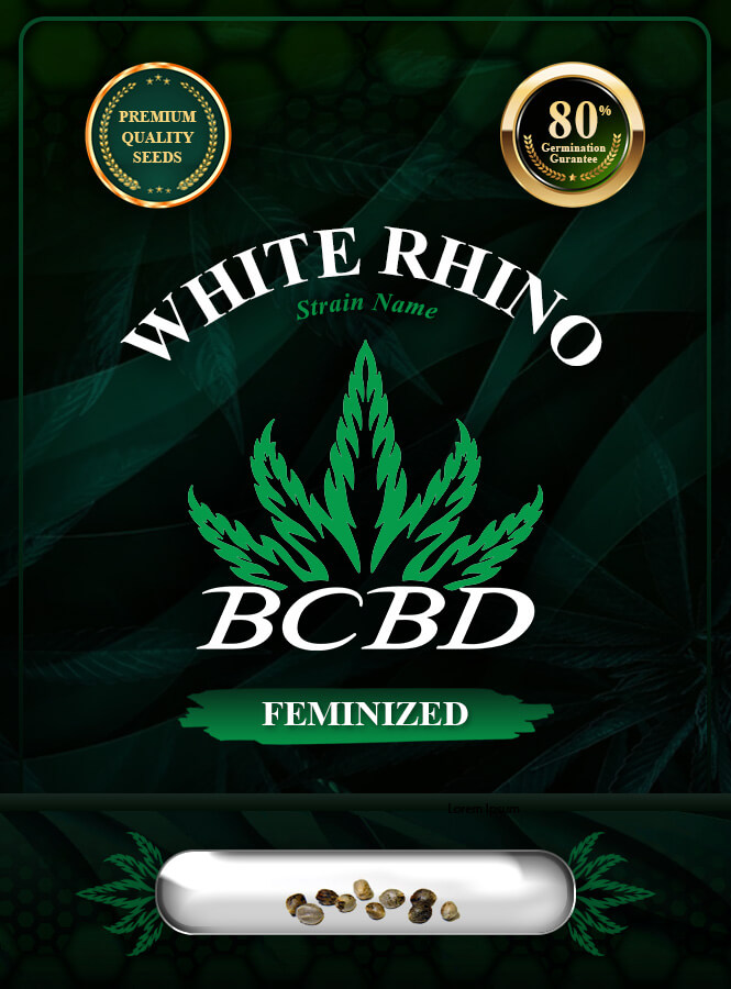 White Rhino Strain Feminized Marijuana Seeds