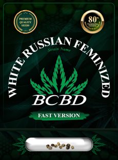 White Russian Strain Fast Version