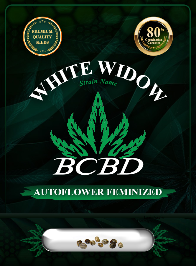 White Widow Strain Autoflowering Marijuana Seeds