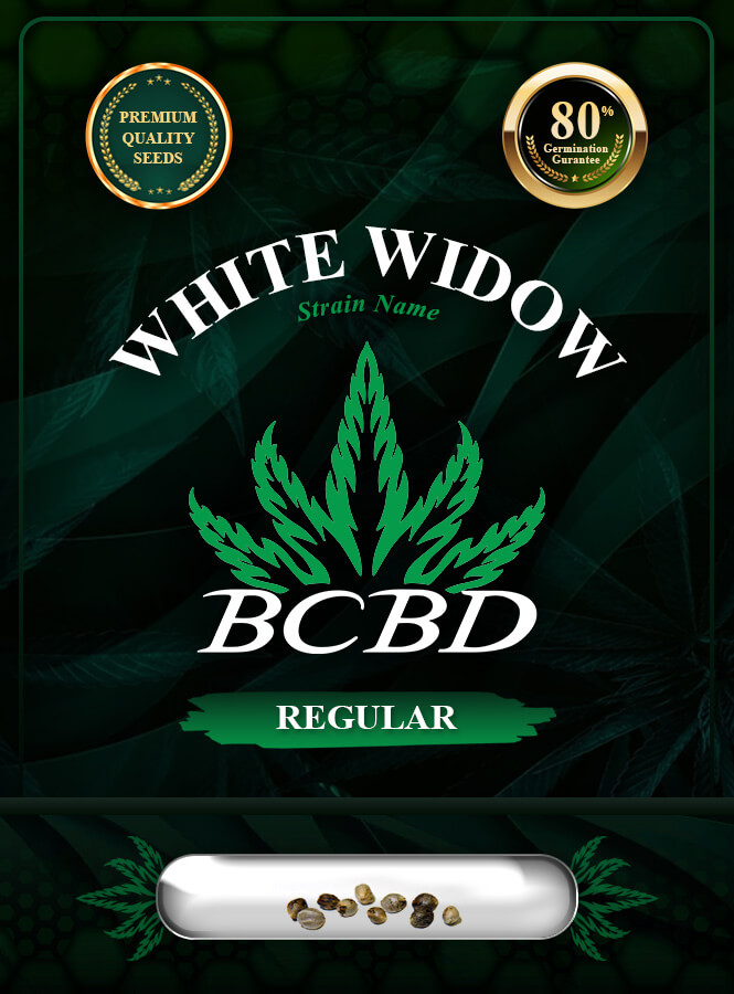 White Widow Strain Regular Marijuana Seeds