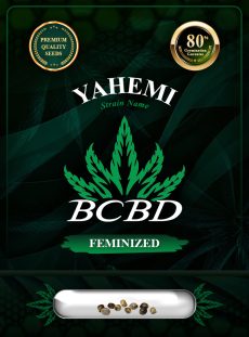 Yahemi Strain Feminized