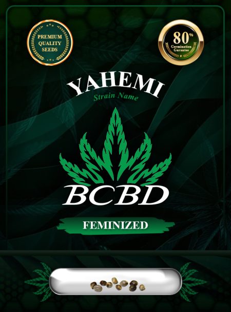 Yahemi Strain Feminized