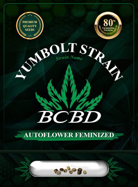 Yumbolt Strain Autoflowering
