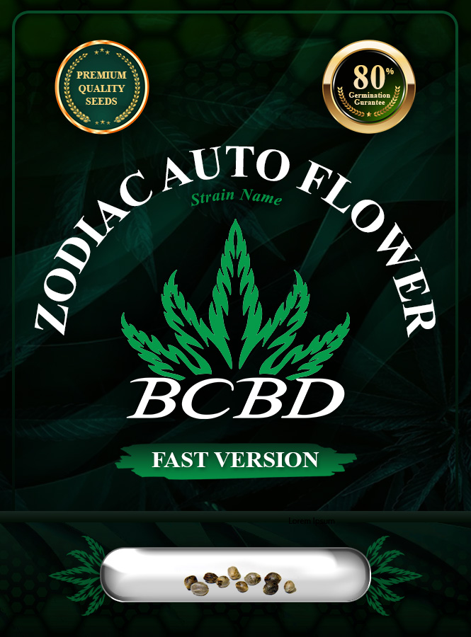 Zodiac Auto Flower Strain Fast Version Marijuana Seeds