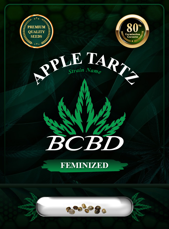 Apple Tartz Strain Feminized Marijuana Seeds