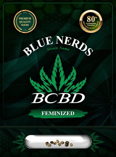 Blue Nerds Strain Feminized