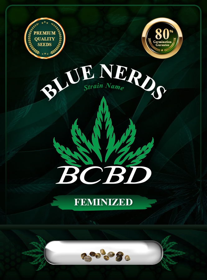Blue Nerds Strain Feminized Marijuana Seeds