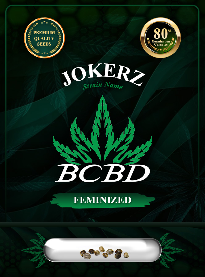 Jokerz Strain Feminized Marijuana Seeds