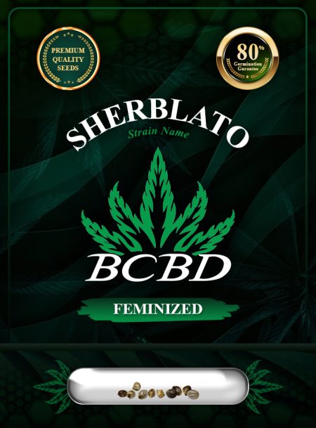 Sherblato Strain Feminized