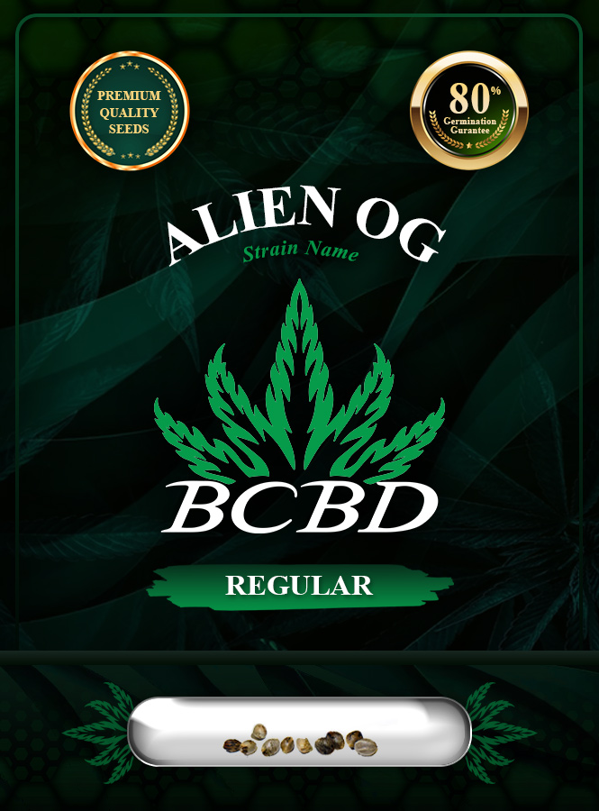 Alien OG Regular BCBD Marijuana Seeds