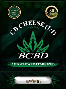 CB Cheese (1:1) Strain Autoflowering