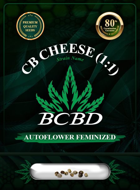 CB Cheese (1:1) Strain Autoflowering
