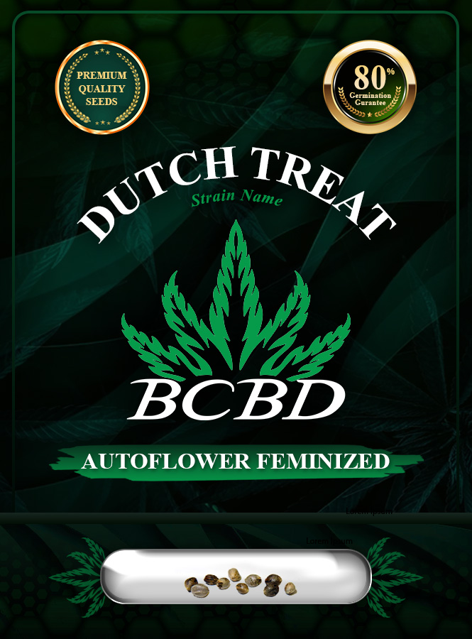 Dutch Treat Strain Autoflowering Feminized Marijuana Seeds
