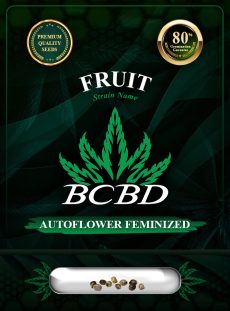 Fruit Strain Autoflowering