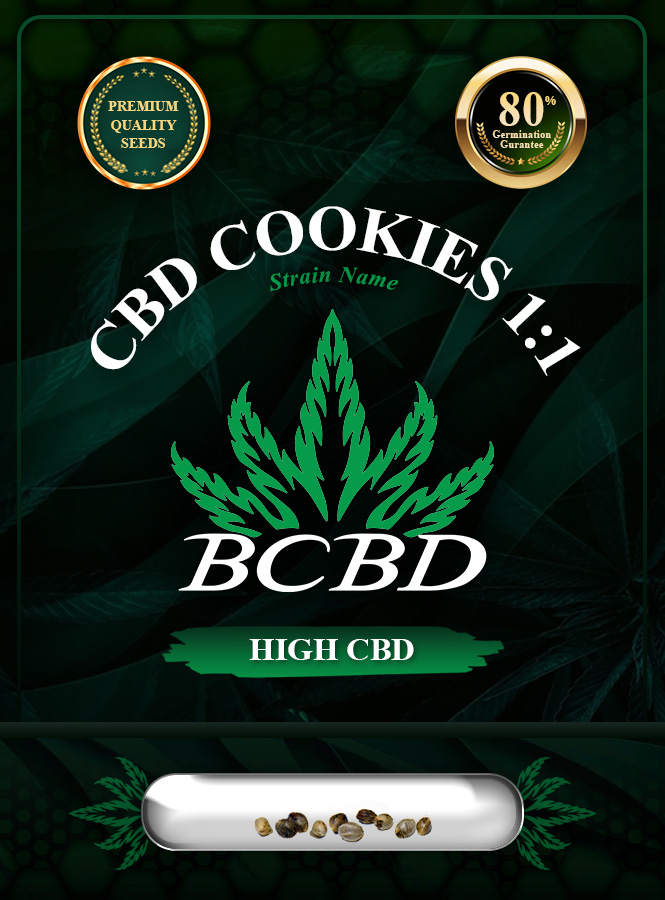 CBD Cookies (1:1) Strain Autoflower Marijuana Seeds