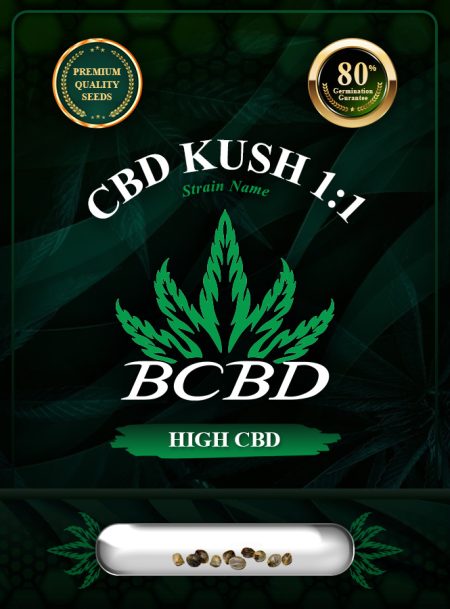 CBD Kush