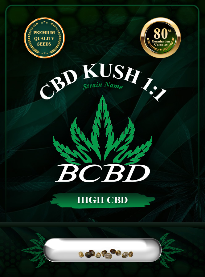 CBD Kush (1:1) Marijuana Seeds