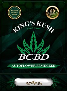 King's Kush Autoflowering Feminized
