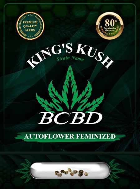 King's Kush Autoflowering Feminized