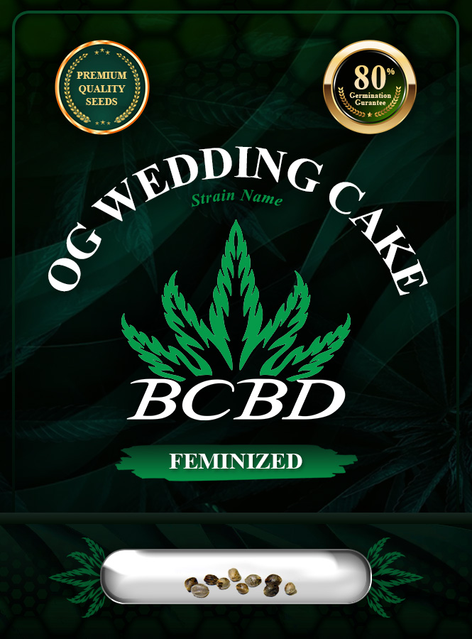OG Wedding Cake Strain Feminized Marijuana Seeds
