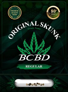 Original Skunk Strain Regular